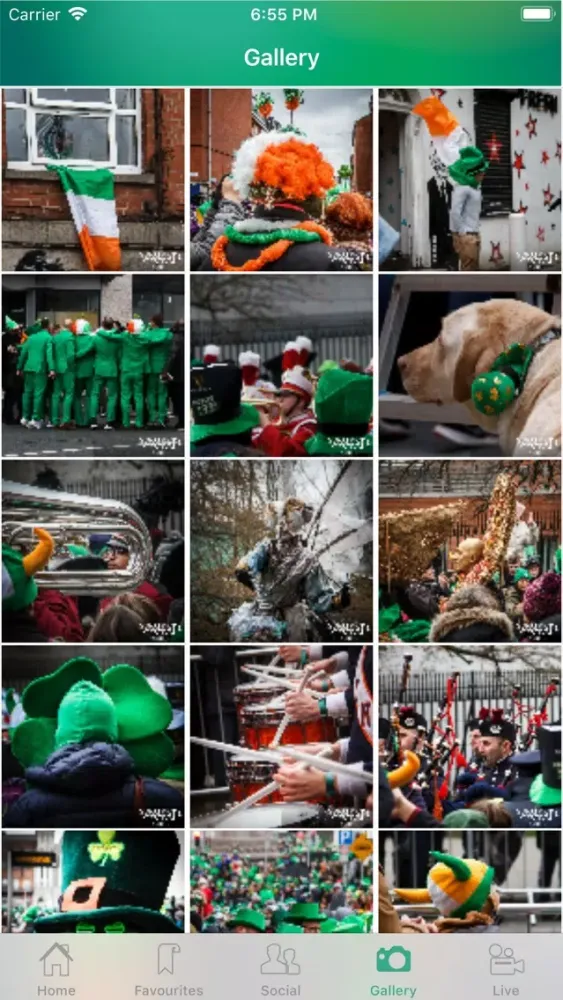 تصاویر St. Patrick's Festival Guide
