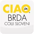 Ciao in Brda Ciao in Brda