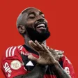 Gerson Wallpaper