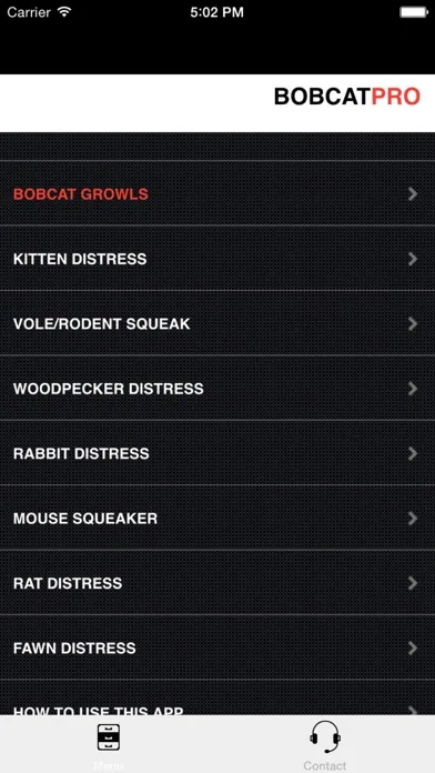 صور REAL Bobcat Calls - Bobcat Hunting - Bobcat Sounds