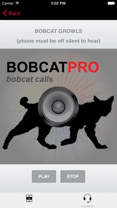 صور REAL Bobcat Calls - Bobcat Hunting - Bobcat Sounds