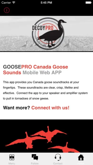 ภาพหน้าจอของ Goose Hunting Calls-Goose Sounds-Goose Call App