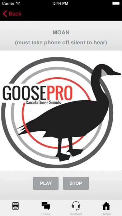 ภาพหน้าจอของ Goose Hunting Calls-Goose Sounds-Goose Call App