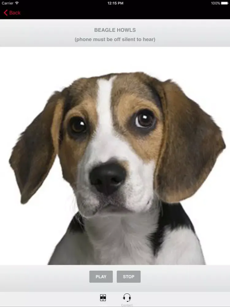 ภาพหน้าจอของ Beagle Sounds & Dog Barking iPad 