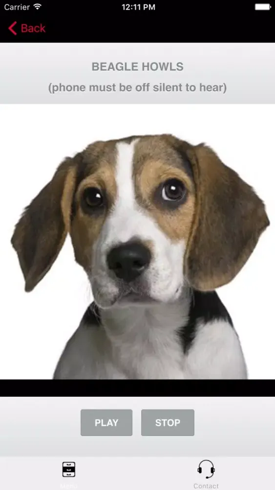 ภาพหน้าจอของ Beagle Sounds & Dog Barking