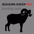 REAL Bighorn Sheep Hunting Calls - 8 Bighorn Sheep CALLS & Bighorn Sheep Sounds! - (ad free) BLUETOOTH COMPATIBLE REAL Bighorn Sheep Hunting Calls - 8 Bighorn Sheep CALLS & Bighorn Sheep Sounds! - (ad free) BLUETOOTH COMPATIBLE