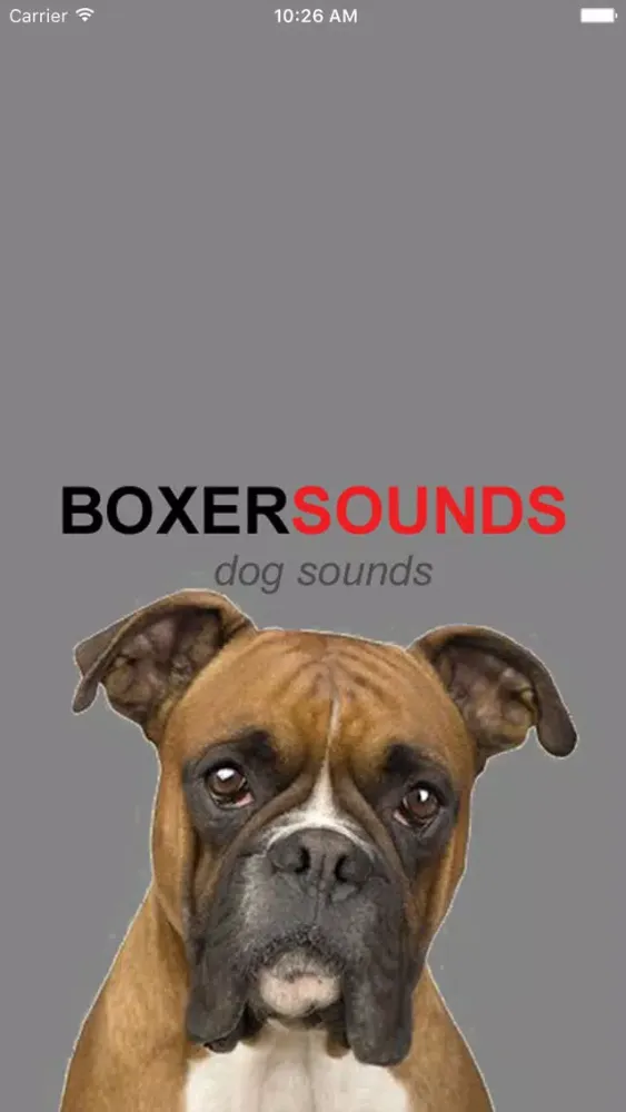 Capturas de pantalla de Boxer Dog Sounds & Barking