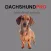 Dachshund Dog Sounds