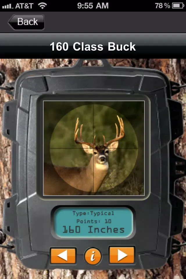 تصاویر Deer Scoring & Field Aging Guide