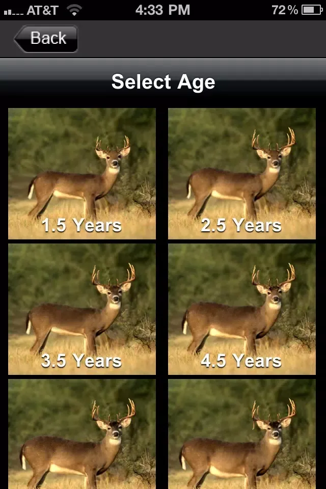 تصاویر Deer Scoring & Field Aging Guide