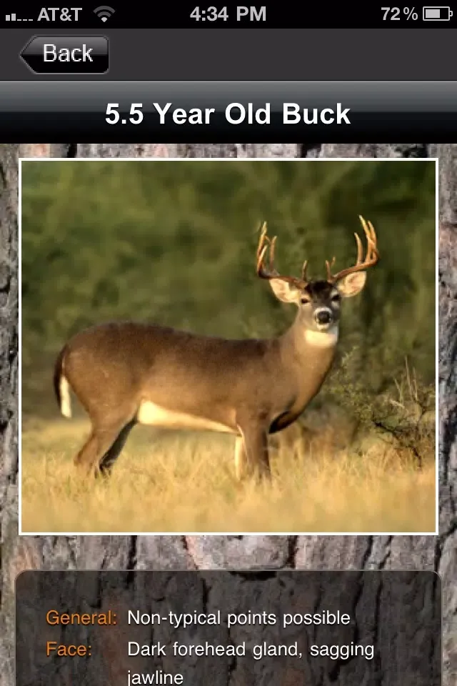 تصاویر Deer Scoring & Field Aging Guide