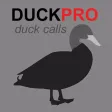 Duck Calls and Duck Sounds for Duck Hunting - BLUETOOTH COMPATIBLE Duck Calls and Duck Sounds for Duck Hunting - BLUETOOTH COMPATIBLE