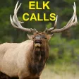 Elk Calls & Elk Bugle for Elk Hunting Elk Calls & Elk Bugle for Elk Hunting