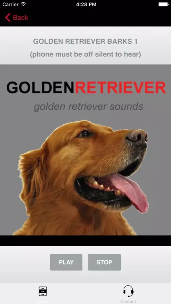 Golden Retriever Sounds for Dogs Screenshots