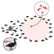 Goose Hunting Diagram Builder-Canada Goose Hunting Goose Hunting Diagram Builder-Canada Goose Hunting