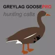 REAL Greylag Goose Hunting Calls - Greylag Goose CALLS & Greylag Goose Sounds! (ad free) BLUETOOTH COMPATIBLE REAL Greylag Goose Hunting Calls - Greylag Goose CALLS & Greylag Goose Sounds! (ad free) BLUETOOTH COMPATIBLE
