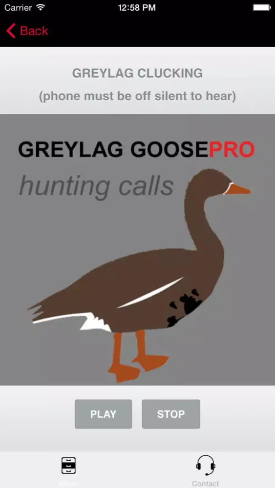 Zrzuty ekranu REAL Greylag Goose Hunting Calls - Greylag Goose CALLS & Greylag Goose Sounds! (ad free) BLUETOOTH COMPATIBLE