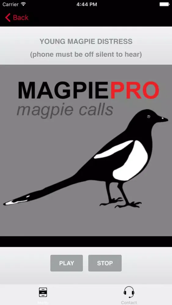 صور REAL Magpie Hunting Calls & Magpie Sounds!