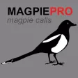 REAL Magpie Calls for Hunting & Magpie Sounds! - (ad free) BLUETOOTH COMPATIBLE REAL Magpie Calls for Hunting & Magpie Sounds! - (ad free) BLUETOOTH COMPATIBLE
