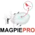 Magpie Hunting Strategy - Plan Your Magpie Hunting Trip (ad free)