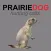 Prairie Dog Calls and Sounds for Hunting