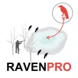 Raven Hunting Strategy - Hunting Simulator for Bird Hunting - Ad Free Raven Hunting Strategy - Hunting Simulator for Bird Hunting - Ad Free