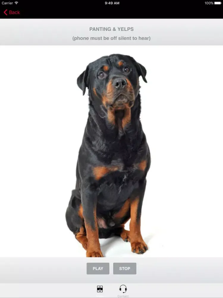Rottweiler Dog Sounds & Barking App iPad Screenshots