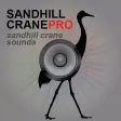 Sandhill Crane Hunting Calls - With Bluetooth - Ad Free