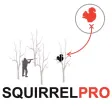 Squirrel Hunting Strategy - Squirrel Hunter Plan for Small Game Hunting - AD FREE Squirrel Hunting Strategy - Squirrel Hunter Plan for Small Game Hunting - AD FREE