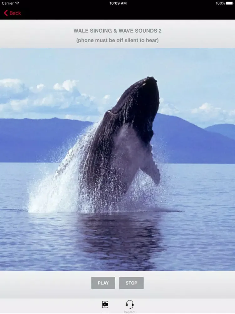 Скриншоты Humpback Whale Sounds! iPad 