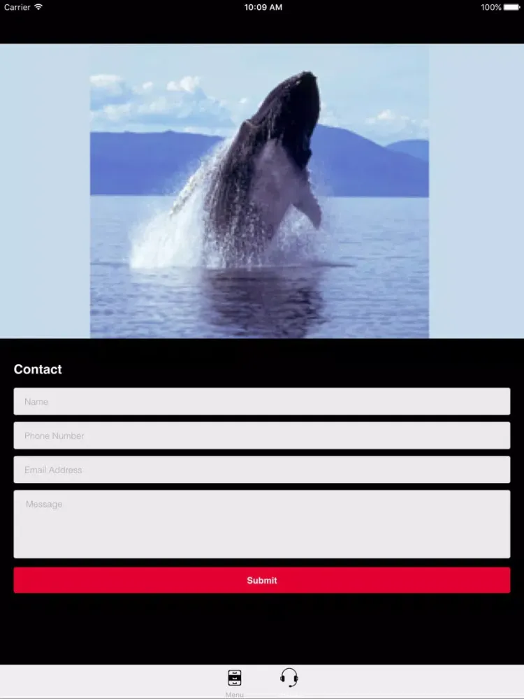 Скриншоты Humpback Whale Sounds! iPad 