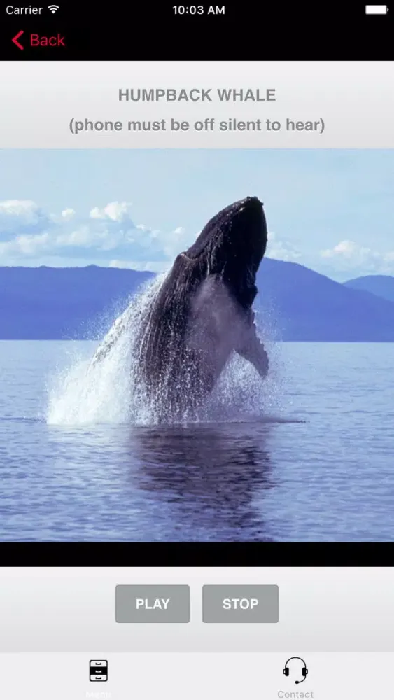 Скриншоты Humpback Whale Sounds!