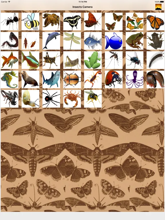 Insects Camera iPad  Ekran Görüntüleri