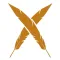 X-OFIS