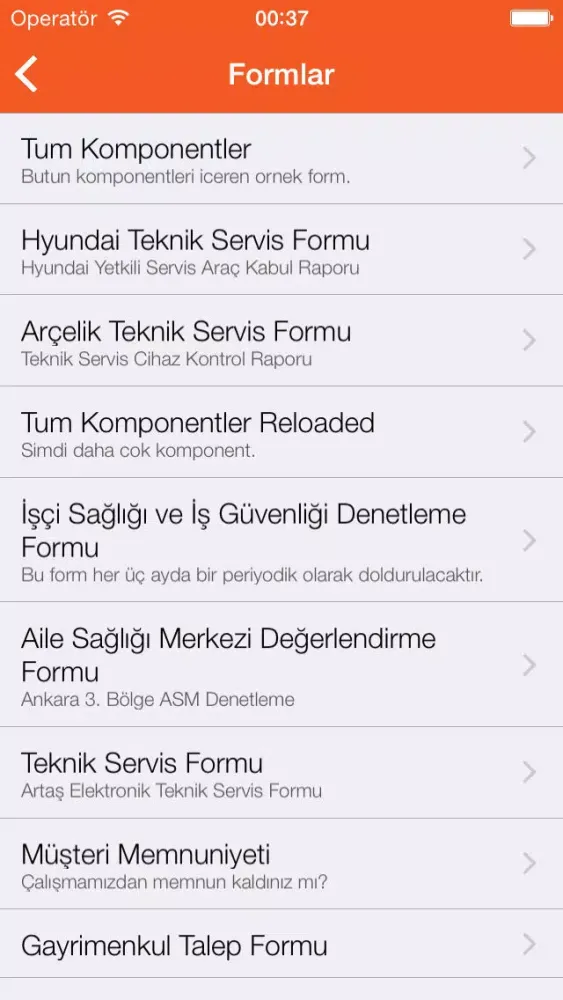 Zrzuty ekranu Formio - Mobil Form Doldurma ve Saha Ekibi Yönetimi