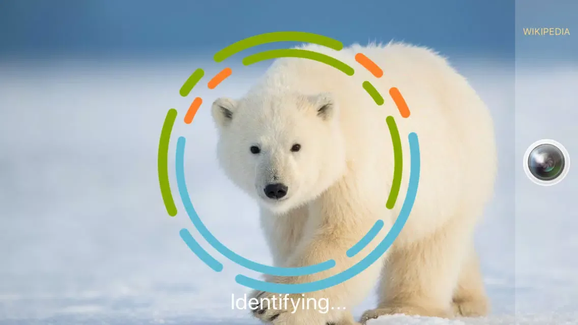 AnimalSnap - Animal Identifier スクリーンショット
