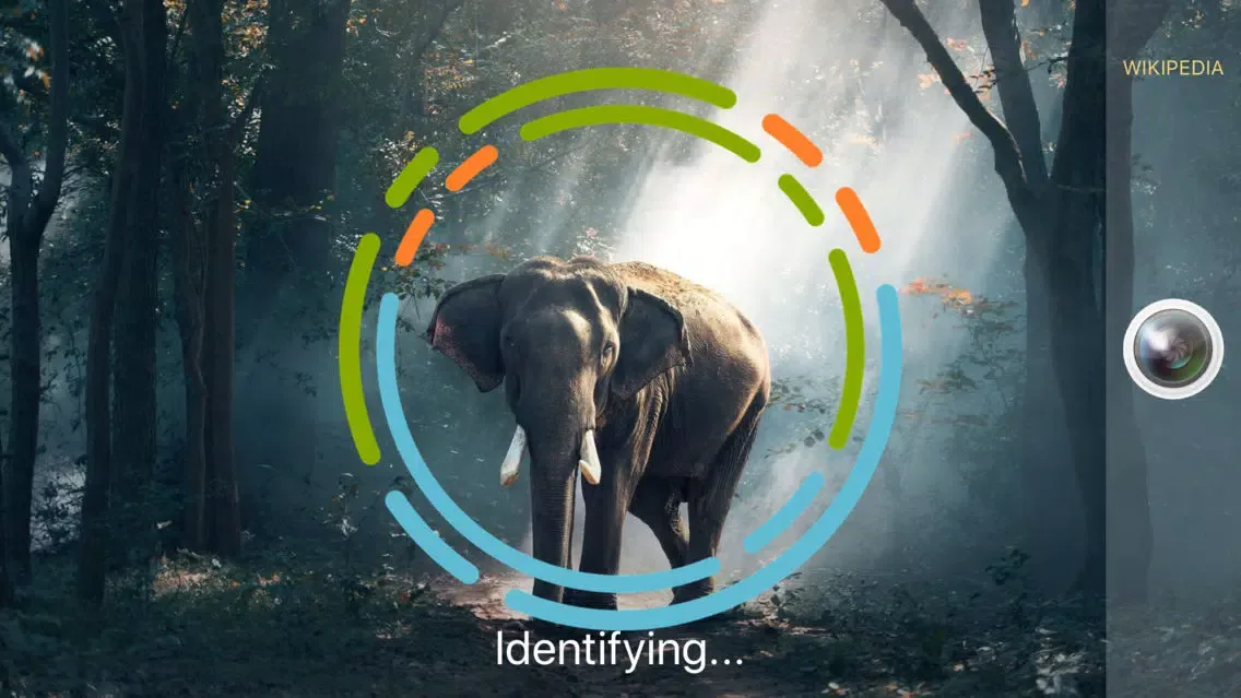 AnimalSnap - Animal Identifier スクリーンショット