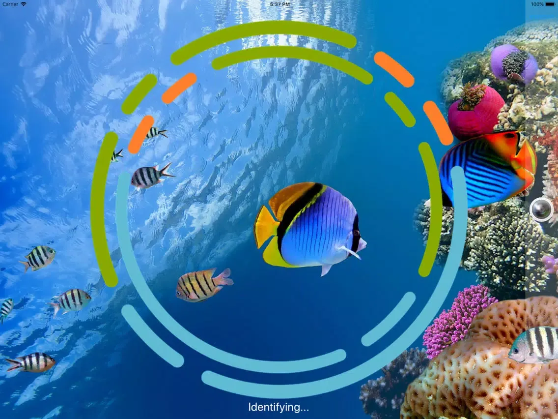 FishSnap - Fish Identification iPad  Screenshots