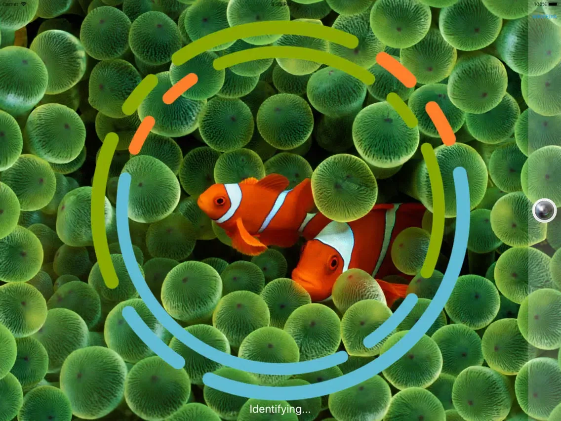 FishSnap - Fish Identification iPad  Screenshots