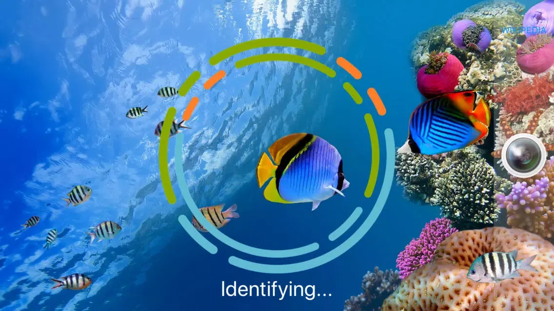 FishSnap - Fish Identification Screenshots