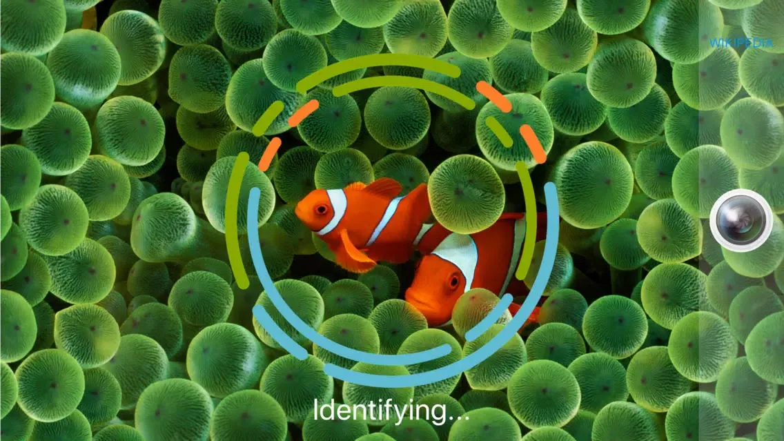 FishSnap - Fish Identification Screenshots