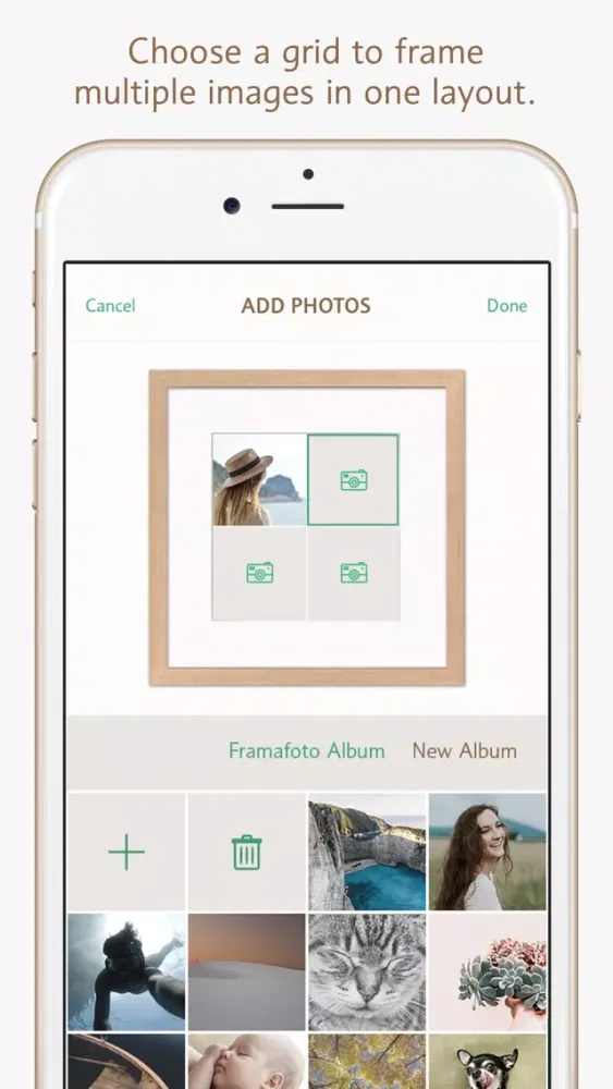 Screenshot di Framafoto: Photos & Art Framed