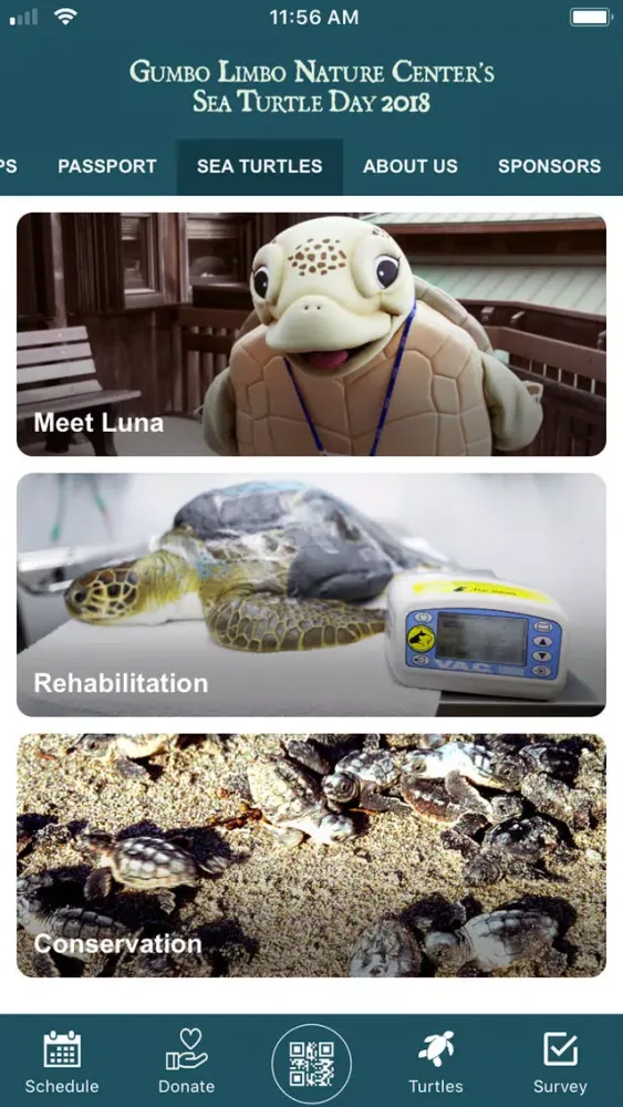 Gumbo Limbo Sea Turtle Day '18 سکرین شاٹس