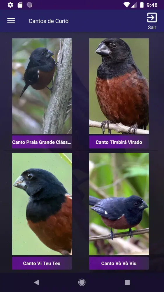 Cantos de Curió Screenshots