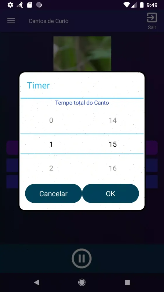 Cantos de Curió Screenshots