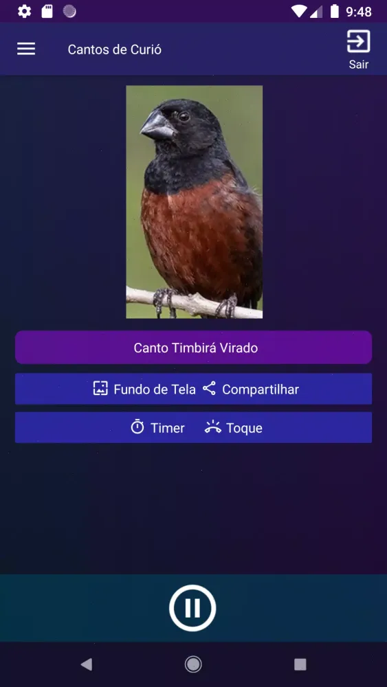 Cantos de Curió Screenshots