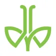 AmEx Pharmacy