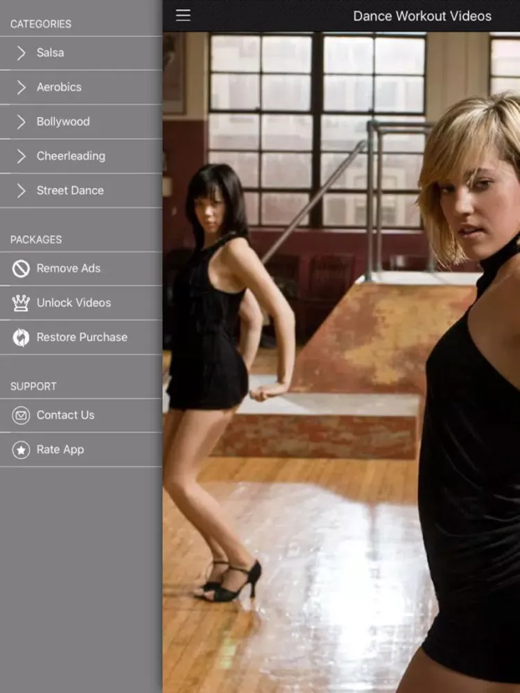 Dance Workout Videos FREE iPad  スクリーンショット