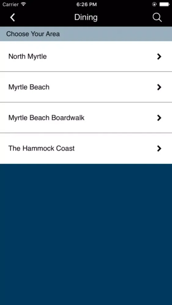 Myrtle Beach Digital Screenshots