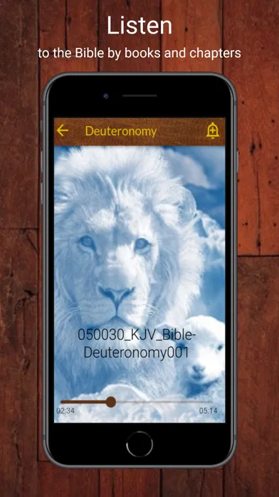Скриншоты King James Pro Study Bible